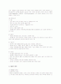 싸이월드(CYWORLD)의 마케팅전략과 성공요인분석 10페이지