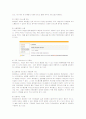 싸이월드(CYWORLD)의 마케팅전략과 성공요인분석 11페이지