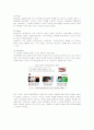 싸이월드(CYWORLD)의 마케팅전략과 성공요인분석 15페이지