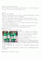 처음처럼의 마케팅 전략 분석 및 성공요인 상세분석 레포트  5페이지