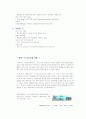 국제마케팅 성공 기업 사례 - FEELUX의 사례와 새로운 전략 제언 레포트  8페이지