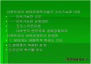 생태경제학 분석 9페이지