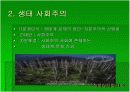 생태경제학 분석 10페이지
