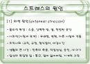 스트레스의 원인과 대처방안 9페이지