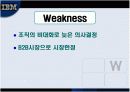 IBM 마케팅사례분석 6페이지