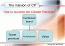 콜게이트(CP)의 마케팅사례분석 2페이지