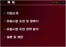 FEELUX(필룩스) 해외마케팅사례분석 2페이지
