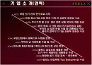 FEELUX(필룩스) 해외마케팅사례분석 4페이지