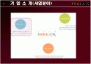 FEELUX(필룩스) 해외마케팅사례분석 5페이지