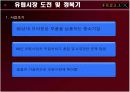 FEELUX(필룩스) 해외마케팅사례분석 6페이지