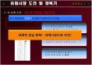FEELUX(필룩스) 해외마케팅사례분석 7페이지