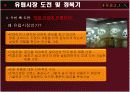 FEELUX(필룩스) 해외마케팅사례분석 8페이지