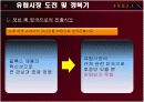 FEELUX(필룩스) 해외마케팅사례분석 9페이지