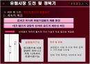 FEELUX(필룩스) 해외마케팅사례분석 11페이지