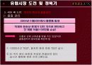 FEELUX(필룩스) 해외마케팅사례분석 12페이지