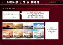 FEELUX(필룩스) 해외마케팅사례분석 14페이지
