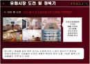 FEELUX(필룩스) 해외마케팅사례분석 15페이지