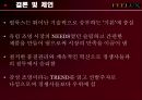 FEELUX(필룩스) 해외마케팅사례분석 21페이지