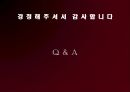 FEELUX(필룩스) 해외마케팅사례분석 22페이지