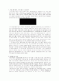 사우스웨스트 항공사 3페이지