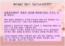 동물세포  6페이지