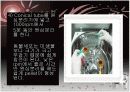 동물세포  10페이지