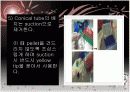 동물세포  11페이지