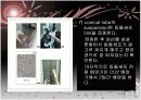 동물세포  13페이지