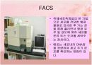 동물세포  20페이지