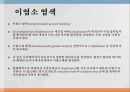 동물조직 염색법 10페이지