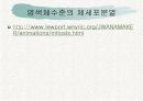 체세포분열 19페이지