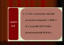 DNA Ligation 9페이지