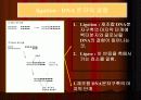 DNA Ligation 11페이지