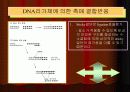 DNA Ligation 12페이지