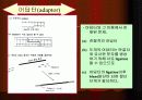 DNA Ligation 14페이지
