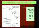 DNA Ligation 15페이지