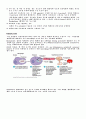 Exotoxin과 Endotoxin의 비교 2페이지