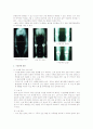 < 퇴행성관절염(DA, Degenerative Arthritis) > 5페이지