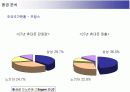 삼성전자 애니콜의 유럽시장 진출전략 11페이지
