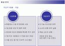 삼성전자 애니콜의 유럽시장 진출전략 12페이지