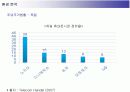 삼성전자 애니콜의 유럽시장 진출전략 13페이지