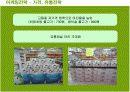 두산 처음처럼의 마케팅전략 성공사례 20페이지