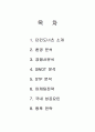 던킨도넛의 마케팅전략과 국내 성공요인 1페이지