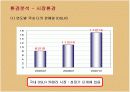 디지털카메라 환경과 삼성 케녹스의 마케팅전략 20페이지
