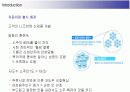 두산주류 처음처럼의 마케팅전략 9페이지