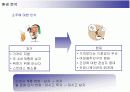 두산주류 처음처럼의 마케팅전략 11페이지