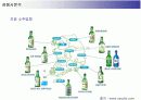 두산주류 처음처럼의 마케팅전략 18페이지