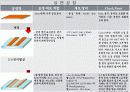 PDP 제작 방법및 기술에 관한조사 11페이지
