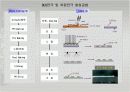 PDP 제작 방법및 기술에 관한조사 19페이지