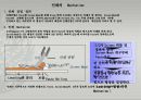 PDP 제작 방법및 기술에 관한조사 23페이지